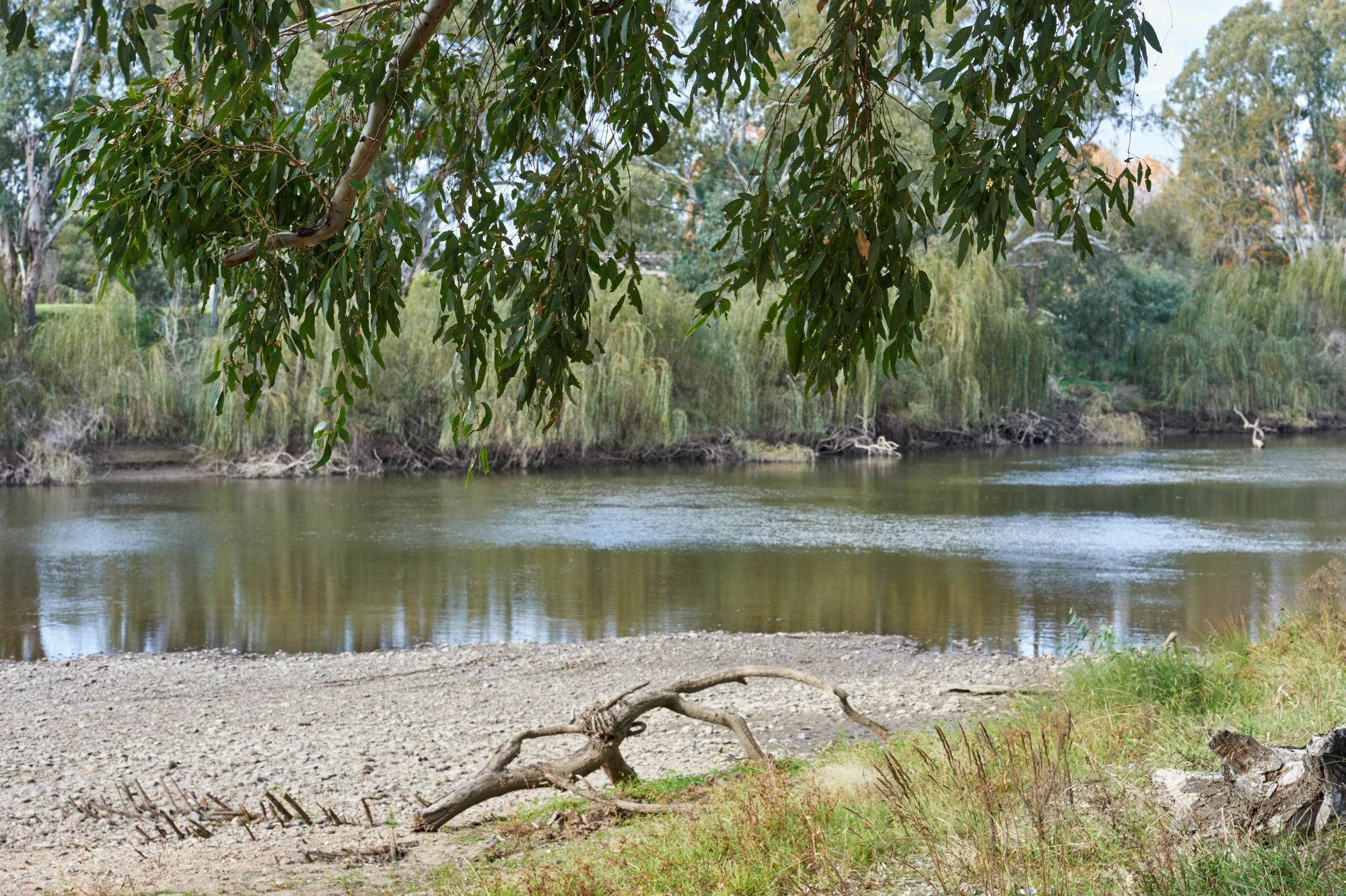 Gundagai Cabins & Tourist Park Eksteriør billede